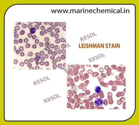 LEISHMAN STAIN