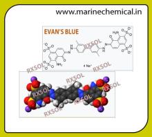 EVAN'S BLUE